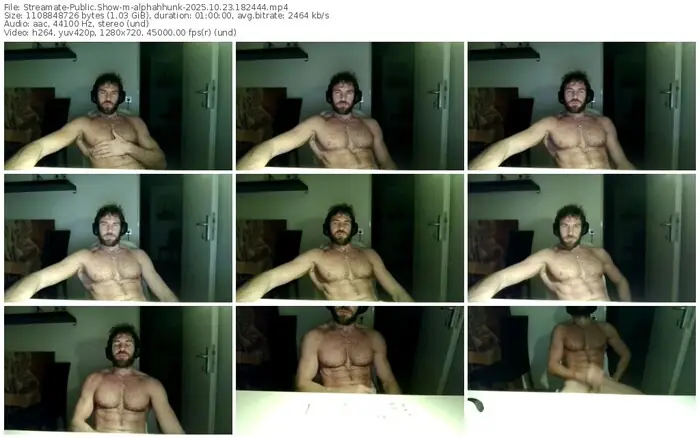 streamate-alphahhunk-10-23-2025-18-24-44