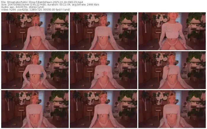 streamate-bambifawn-10-24-2025-09-01-23