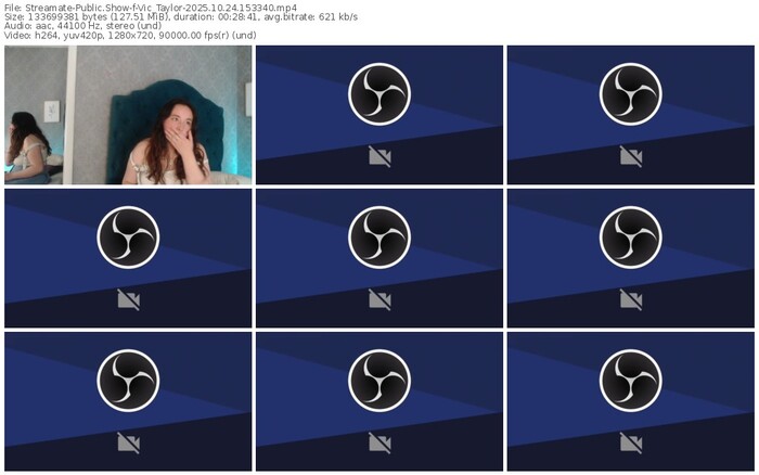 streamate-vic_taylor-10-24-2025-15-33-40