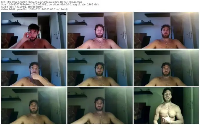 streamate-alphahhunk-10-24-2025-16-02-49