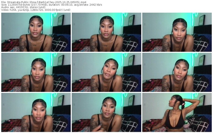 streamate-barb1echey-10-25-2025-06-50-51