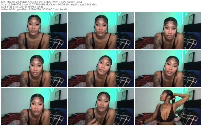 streamate-barb1echey-10-25-2025-06-50-51
