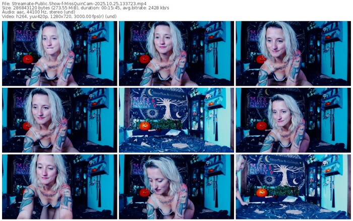 streamate-missquincam-10-25-2025-13-37-23