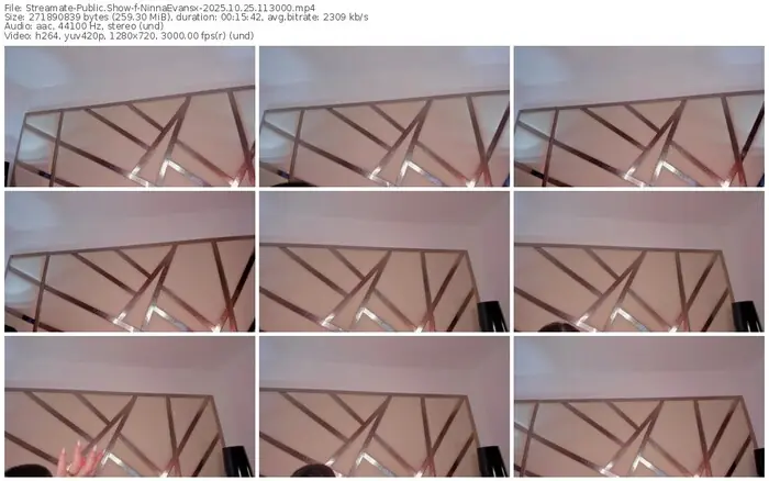 streamate-ninnaevansx-10-25-2025-11-30-00