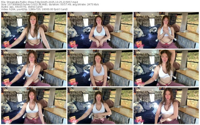 streamate-skysmith-10-25-2025-21-59-57