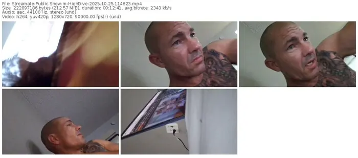 streamate-highdive-10-25-2025-11-46-23