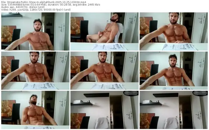 streamate-alphahhunk-10-25-2025-10-39-34