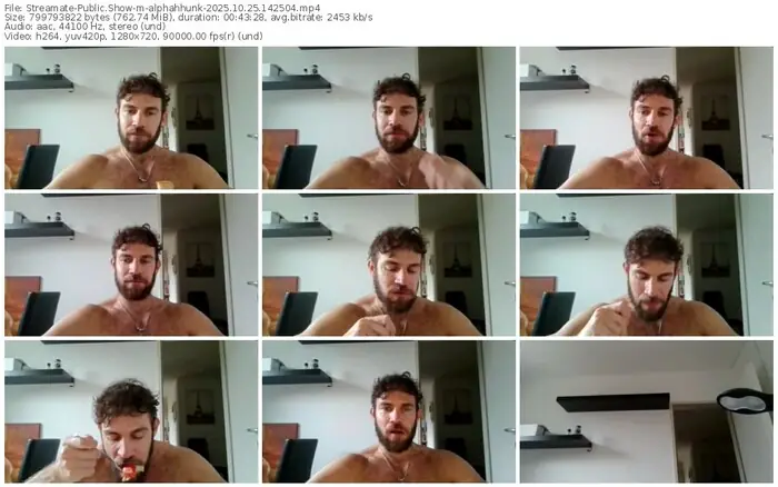 streamate-alphahhunk-10-25-2025-14-25-04