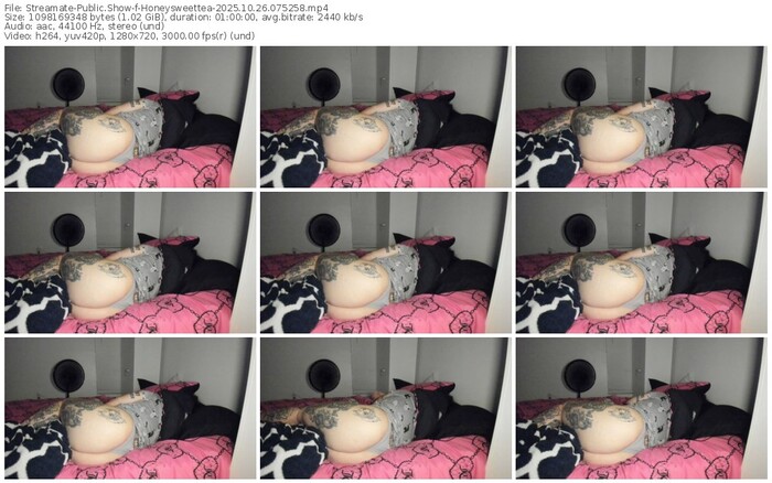 streamate-honeysweettea-10-26-2025-07-52-58