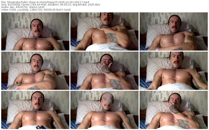 streamate-hornyfitguy25-10-26-2025-12-01-17
