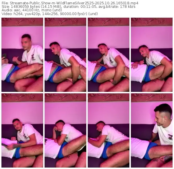 streamate-wildflamesilver2525-10-26-2025-16-50-18