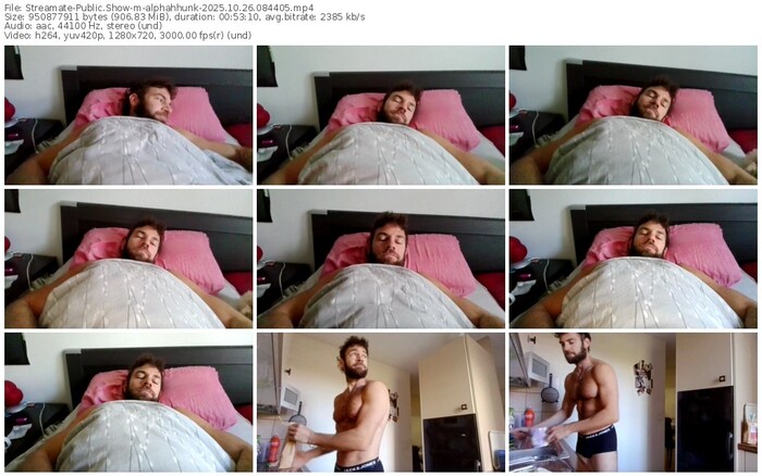 streamate-alphahhunk-10-26-2025-08-44-05