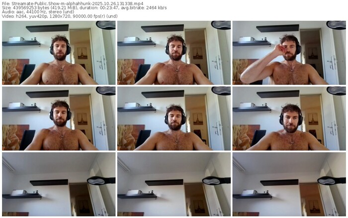 streamate-alphahhunk-10-26-2025-13-13-38