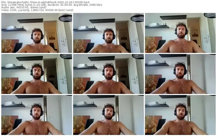 streamate-alphahhunk-10-26-2025-13-43-29