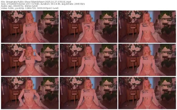 streamate-bambifawn-10-27-2025-07-01-01