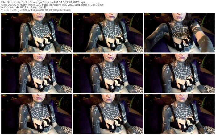 streamate-joidivision-10-27-2025-01-08-27