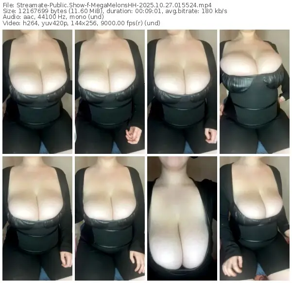 streamate-megamelonshh-10-27-2025-01-55-24