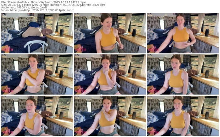 streamate-skysmith-10-27-2025-18-47-42