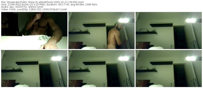 streamate-alphahhunk-10-27-2025-19-19-52