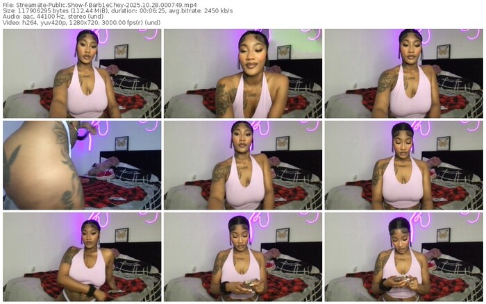 streamate-barb1echey-10-28-2025-00-07-49