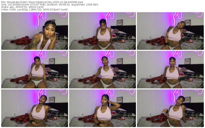 streamate-barb1echey-10-28-2025-04-39-58