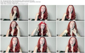 streamate-danirosexx-10-28-2025-23-19-33