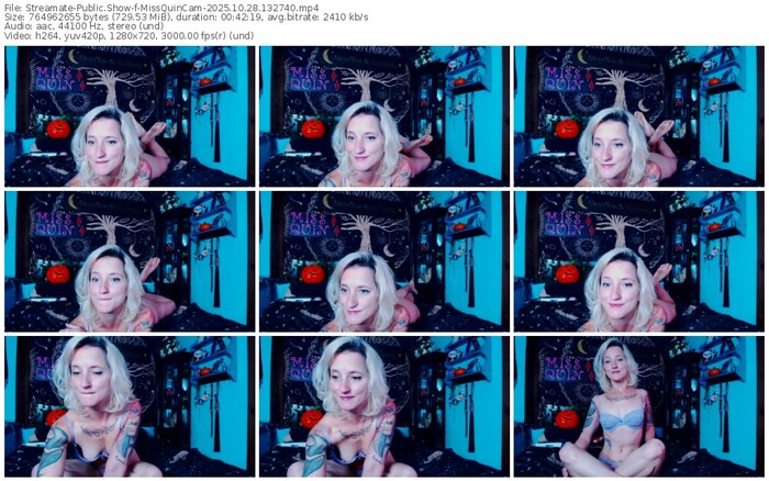 streamate-missquincam-10-28-2025-13-27-40