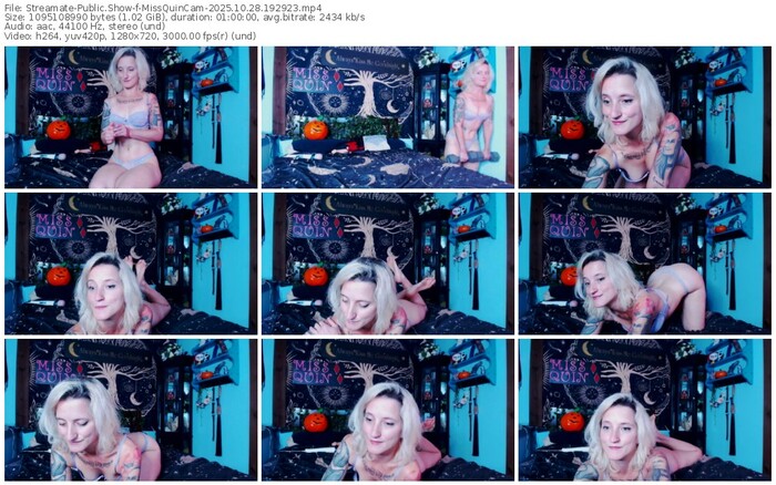 streamate-missquincam-10-28-2025-19-29-23