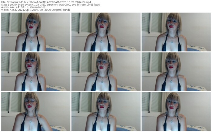 streamate-pamelastream-10-28-2025-21-04-13