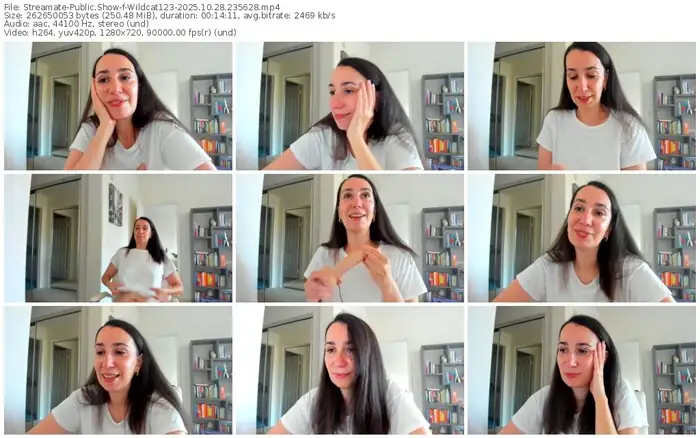 streamate-wildcat123-10-28-2025-23-56-28