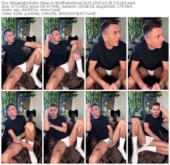 streamate-wildflamesilver2525-10-28-2025-13-12-32