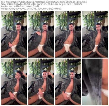 streamate-wildflamesilver2525-10-28-2025-15-11-35