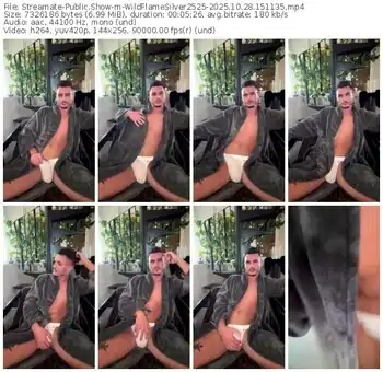 streamate-wildflamesilver2525-10-28-2025-15-11-35