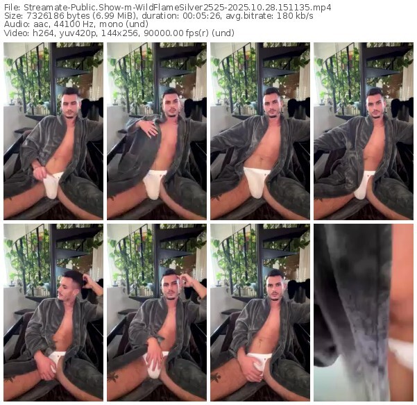 streamate-wildflamesilver2525-10-28-2025-15-11-35