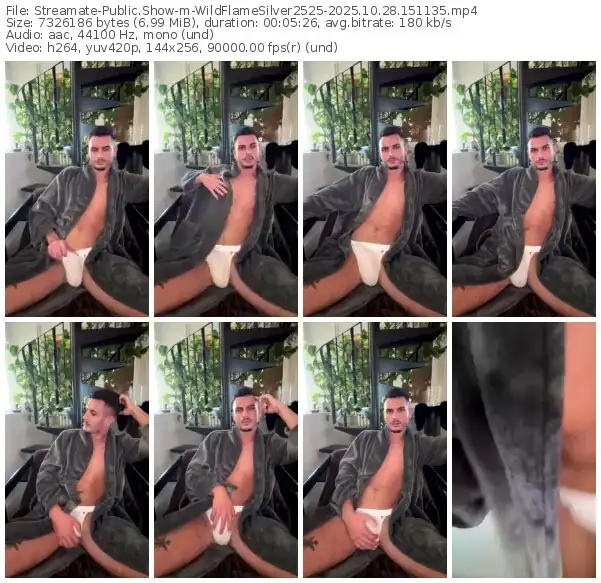 streamate-wildflamesilver2525-10-28-2025-15-11-35