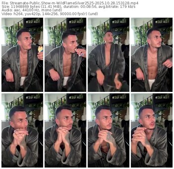 streamate-wildflamesilver2525-10-28-2025-15-31-28