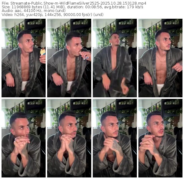 streamate-wildflamesilver2525-10-28-2025-15-31-28