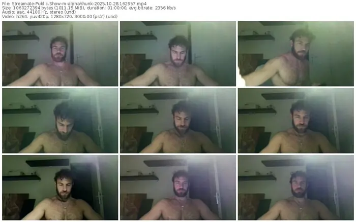 streamate-alphahhunk-10-28-2025-16-29-57