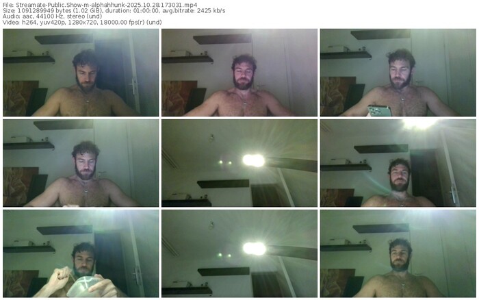 streamate-alphahhunk-10-28-2025-17-30-31