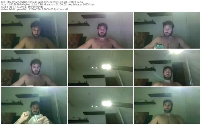 streamate-alphahhunk-10-28-2025-17-30-31