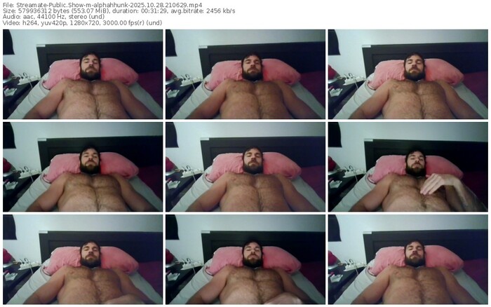 streamate-alphahhunk-10-28-2025-21-06-29