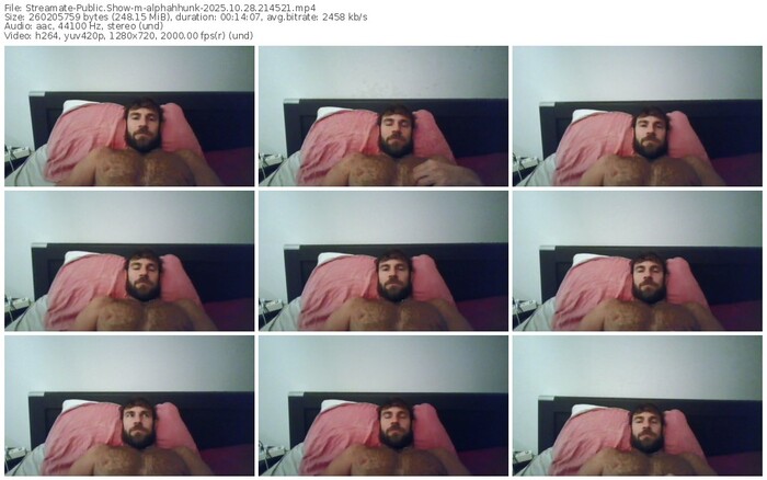 streamate-alphahhunk-10-28-2025-21-45-21