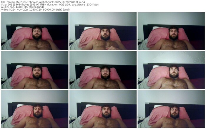 streamate-alphahhunk-10-28-2025-22-00-01