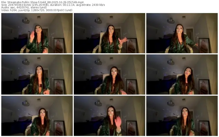 streamate-geld_88-10-29-2025-05-15-49