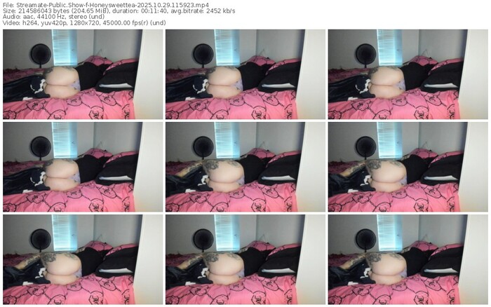 streamate-honeysweettea-10-29-2025-11-59-23
