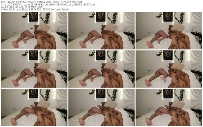 streamate-katreesexo-10-29-2025-06-13-52