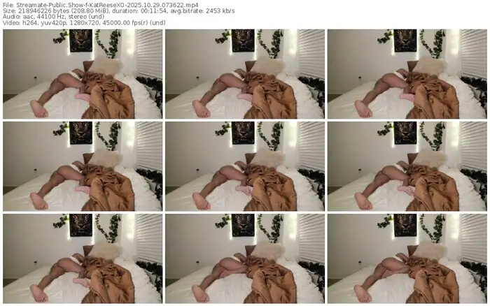 streamate-katreesexo-10-29-2025-07-36-22