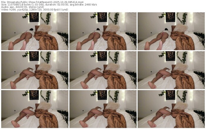 streamate-katreesexo-10-29-2025-08-54-14
