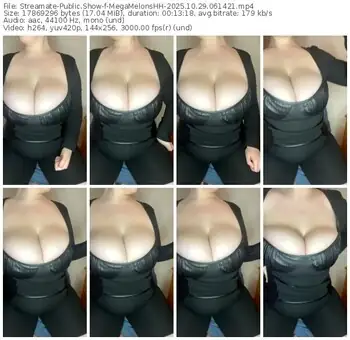 streamate-megamelonshh-10-29-2025-06-14-21