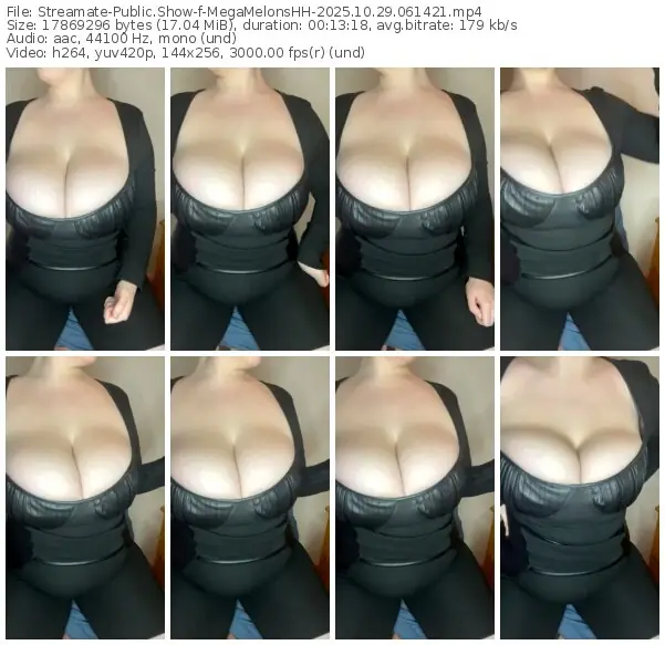 streamate-megamelonshh-10-29-2025-06-14-21